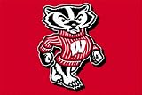 Wisconsin Badgers Tufted Rug (20-inch x 30-inch)
