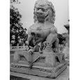 Boy Sitting in the Lap of a Stone Lion Photographic Poster Print by George Lacks, 12x16