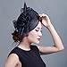 Cocktail Pillbox Hat Fascinator Hair Clip Bridal Headwear for Women Black