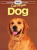 Care for your dog