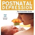 Postnatal Depression: The Essential Guide (Need 2 Know)