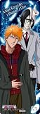 �֥꡼�� BLEACH THE CARD GUM13 BOX (����)