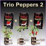 Grow Your Own Peppers (All-In-One Trio Pack: Ghost Chili + Chocolate Pepper + Cherry Pepper)