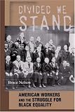 Divided We Stand: American Workers and the Struggle for Black Equality (Politics & Society in Twentieth Century America)