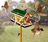 Sparrow Free Magic Halo, Keep Sparrows from Feeder