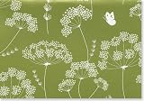 Queen Anne's Lace (Stationery, Note Cards) (Note Card Series)