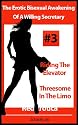 The Erotic Bisexual Awakening Of A Willing Secretary - Riding The Elevator and Threesome In The Limo (Red Erotica)