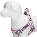 Blueberry Pet 2 Patterns Soft & Comfy Step-in Rose Flower Prints Girly Padded Dog Harness, Chest Girth 19.5