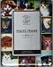 Kitten - Cat Picture Photo Frame - 4" X 6" (10cm X 15cm) Photos