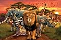 Africa Kingdom Natur Poster Foto Afrika Tiere Natur Wild Elefanten L&ouml;wen Nashorn Gepard 91,5x61 cm