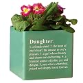 Cube Planter "Daughter" - Green (6")