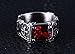 RAUL FANT Mens Cross Titanium Stainless Steel Rings With Stone