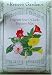 Four O'clocks Fragrant Teatime Mix Heirloom Seeds 45 Seeds