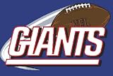 New York Giants Tufted Rug (20-inch x 30-inch)