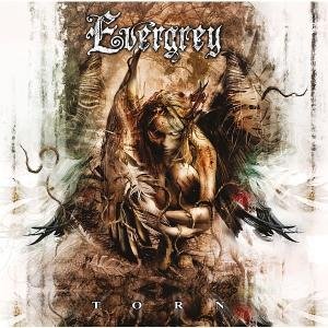 Torn: Limited Edition