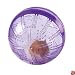 PURPLE - Small Animal Excercise Ball