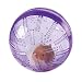 Pet Supplies : PURPLE - Small Animal Excercise Ball