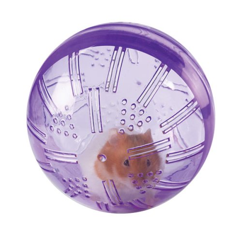 Biddie Buddies Exercise Ball Purple