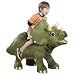 Playskool Kota My Triceratops Dinosaur