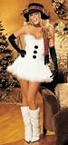 Sexy Frosty the Snow-Vixen Costume
