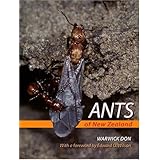 Ants of New Zealand