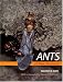 Ants of New Zealand
