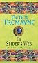 The Spider's Web (A Sister Fidelma Mystery: A Celtic Mystery)