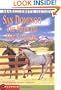 San Domingo: The Medicine Hat Stallion