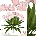 Six 24" Artificial Parrot Tulip Flower Bushes in Pink for Home,Garden, Wedding Decoration