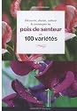 Pois de senteur