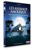 Les animaux amoureux