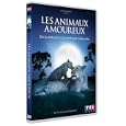 Les animaux amoureux
