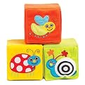 Sassy Peek-a-Boo Bug Blocks