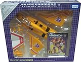 Transformers Sunstorm Exclusive Reissue