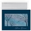 Frosted Trees On Blue Holiday Cards -