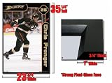 Framed Anaheim Ducks Chris Pronger Nhl Poster Fr 4189