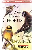The DAWN CHORUS..A celebration of SUNRISE..Various Birds