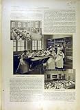 1908 �γع�����°���Ž�ο޽�ۤη��θ�Ū...