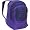 Black/Prism Purple Flashback Zebra