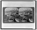 Busy crowds hurrying over Galata Bridge, N.E. from Stamboul, Constantinople Reprint (...