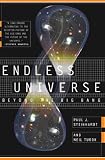 Endless Universe: Beyond The Big Bang: Beyond the Big Bang