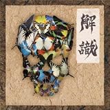 解識
