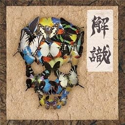 解識