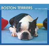 Boston Terriers 2009 Boxed Calendar