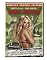 Zombie Strippers (Unrated Special Edition)