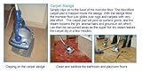Monster Floor EZ1 Steam Mop and Floor Cleaner