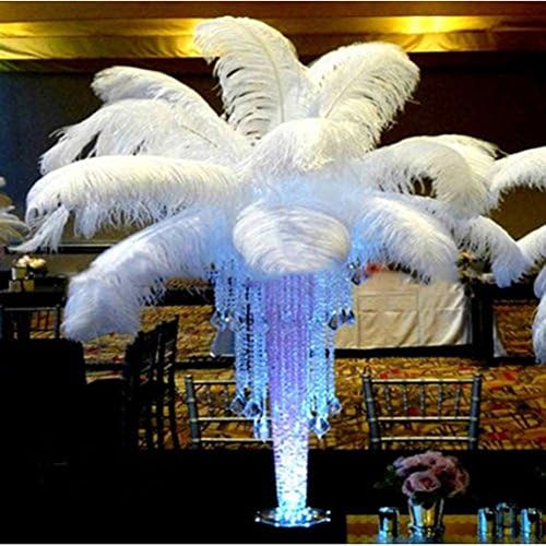 RHH 10 PCS Natural Ostrich Feathers
