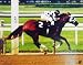 Ron Turcotte - Secretariat Belmont Stakes Triple Crown Victory - Autographed 16x20 Photograph