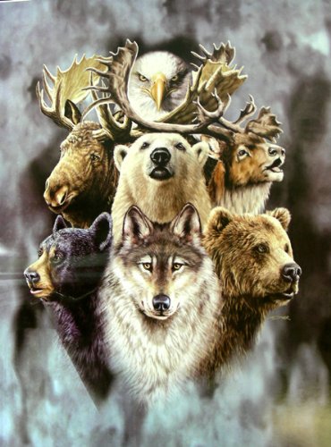 Luxury Plush Blanket- Alaska's wildlife raschel blanket