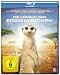 Produkt-Bild: Die K&ouml;nigin der Erdm&auml;nnchen [Blu-ray]
